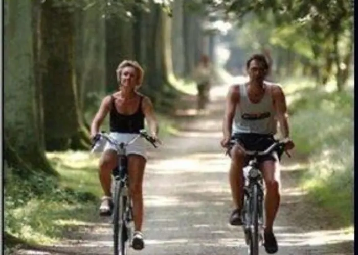 빌라 Heivlinder 4p